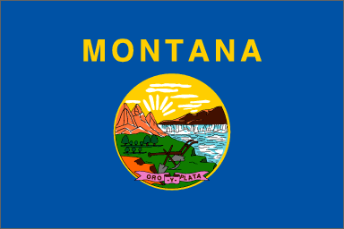 Live Answer Montana Flag