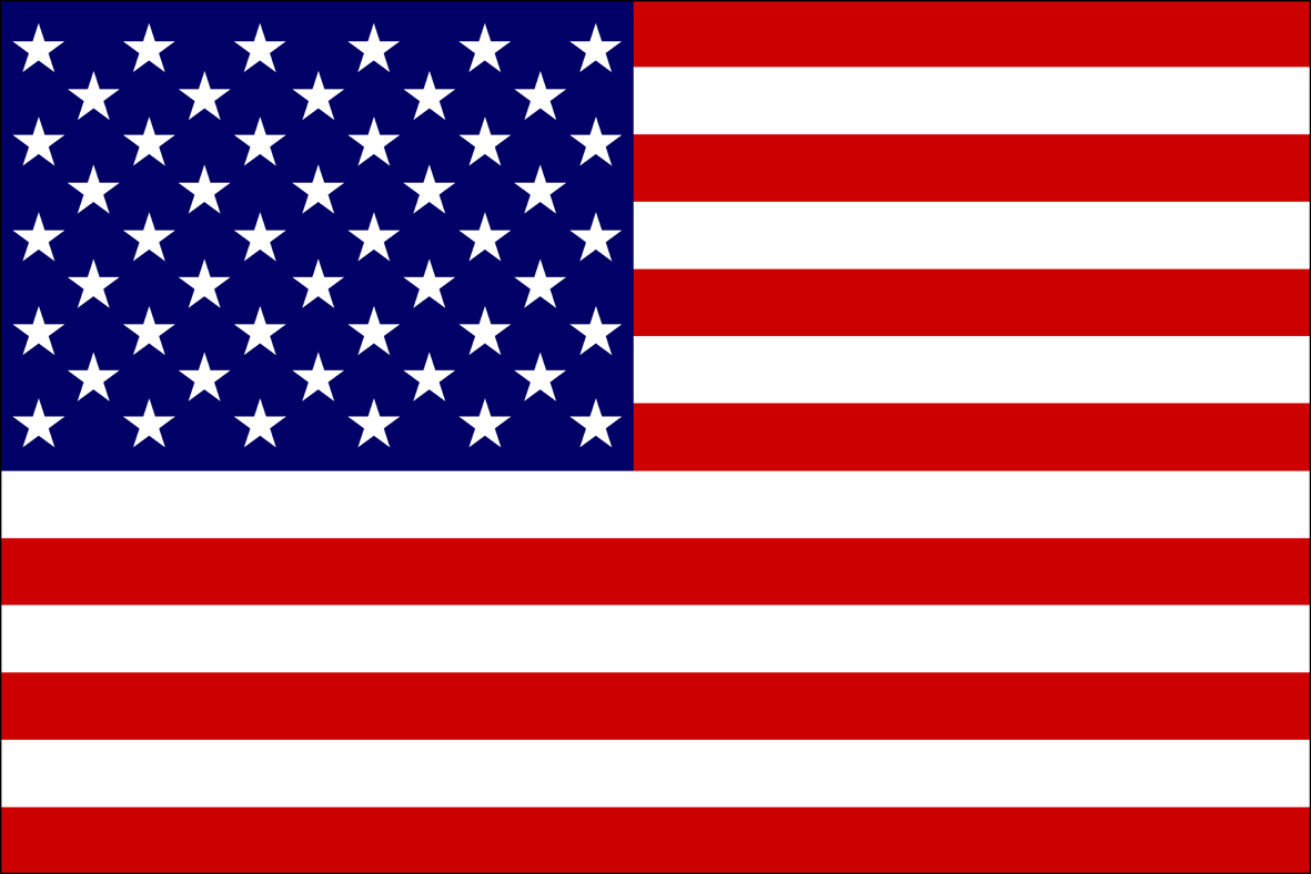 Live Answer US Flag